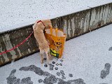 20231223_114910.jpg