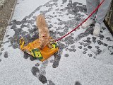 20231223_114950.jpg