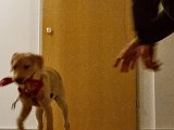 20240130_182853.jpg
