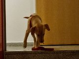 20240130_182855.jpg