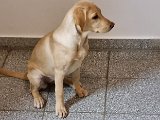 20240201_183046.jpg