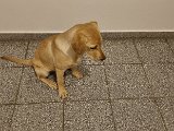 20240201_183128.jpg