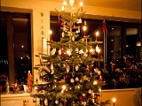 IMG_0102 christbaum 2013 small.jpg