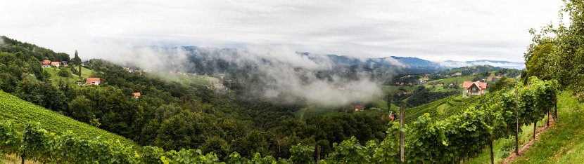 pano 11