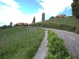 IMG_0128.CR2