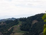 IMG_0168.jpg