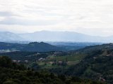 IMG_0173.jpg