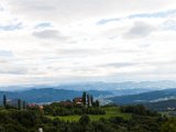 IMG_0175.jpg