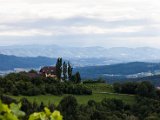 IMG_0176.jpg