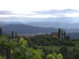 IMG_0179.CR2