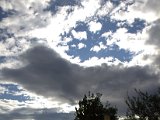 IMG_0230.CR2