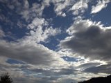 IMG_0251.CR2