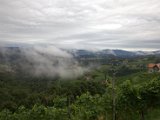 IMG_0301.CR2