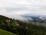 IMG_0333.jpg