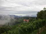 IMG_0335.CR2