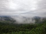 IMG_0342.CR2