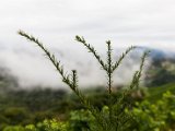 IMG_0348.jpg