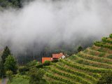 IMG_0385.jpg