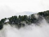 IMG_0387.jpg