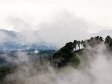 IMG_0392.jpg