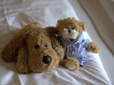 IMG_0399.CR2