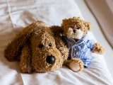 IMG_0400.jpg