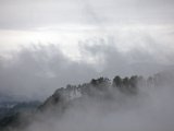 IMG_0403.CR2