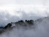IMG_0404.jpg
