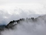 IMG_0405.jpg
