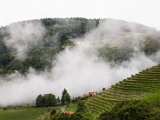 IMG_0407.jpg