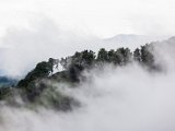 IMG_0410.jpg