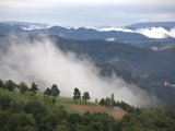 IMG_0431.CR2