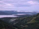 IMG_0439.CR2