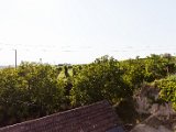 IMG_0378.jpg