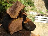 20150918_160846.jpg