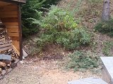 20150918_171514.jpg