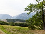 IMG_0086.jpg
