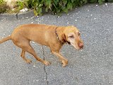 20151025_114806.jpg