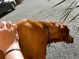20151025_115347.jpg