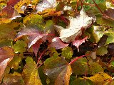 20151025_124414.jpg