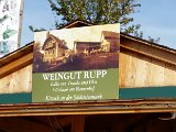 20151025_135111.jpg