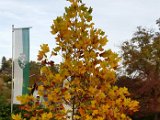 20151025_160336.jpg