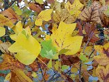 20151025_160354.jpg