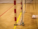 IMG_0555.jpg