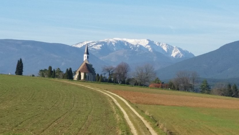 20151204_113217
