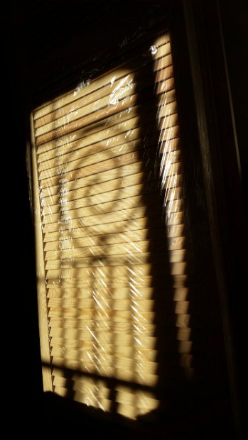 20151205_092941