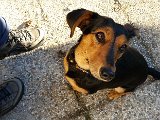 20151204_144045.jpg