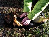 20151204_144232.jpg
