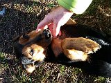 20151204_144245.jpg