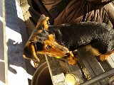 20151204_145405.jpg